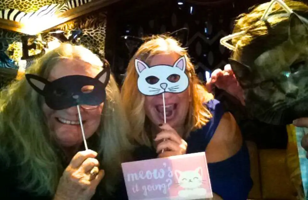 From sailing nude to heavy metal headbanging, here are 5 diverse themed cruises 2 Meow Meow, on Discovery Princess, one of the popular themed cruises available