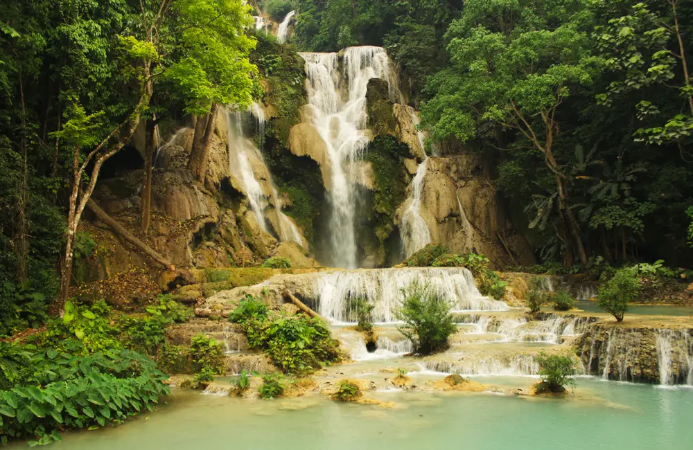 Catch the double commission wave with InsideAsia