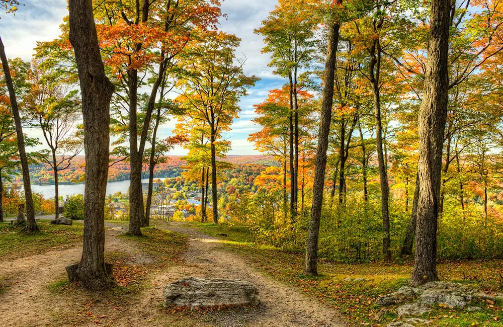 Fall for Canada in autumn: Open yourself up to culture, nature, culinary & more 2 Trees in Algonquin Provincial Park, Ontario, Canada in autumn