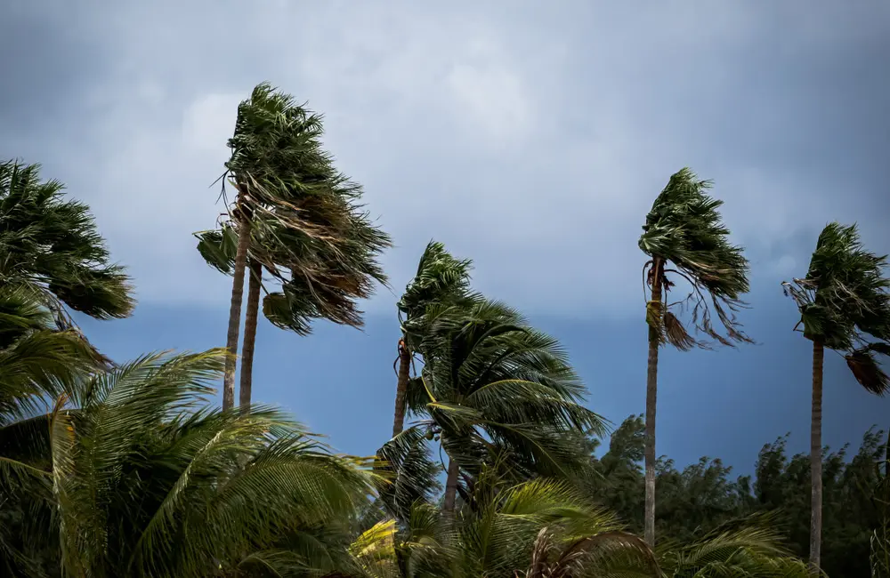 US Tropical Storm Debby causes 2K flight cancellations & cruise changes in Florida