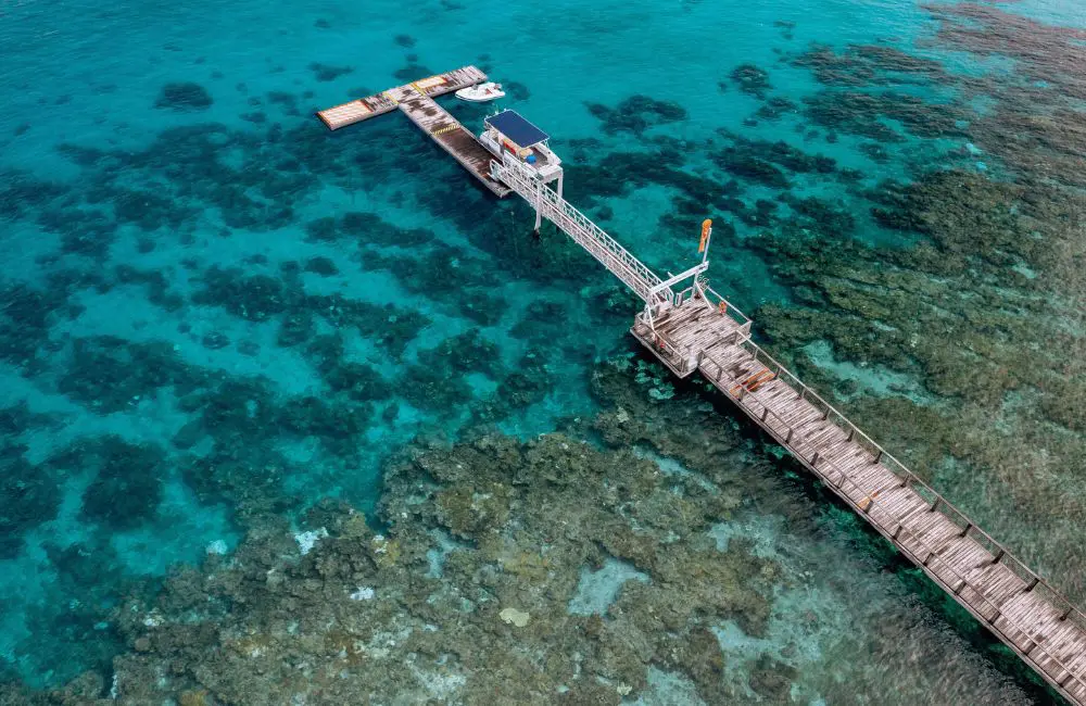The Fijian private island resort where guests can help save the ocean 4 The reef at Kokomo Private Island where much of the conservation work is done