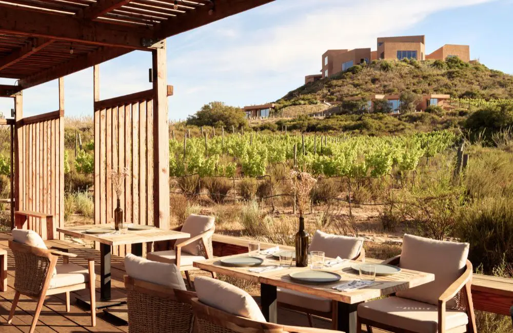 The new Mexico wellness resort where you don’t have to skip the wine  