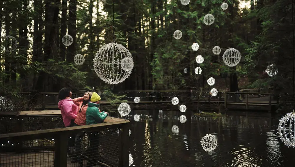 Melbourne agents: Experience Vancouver's vibrant culinary and winter scene! 2 vancouverinternal1
