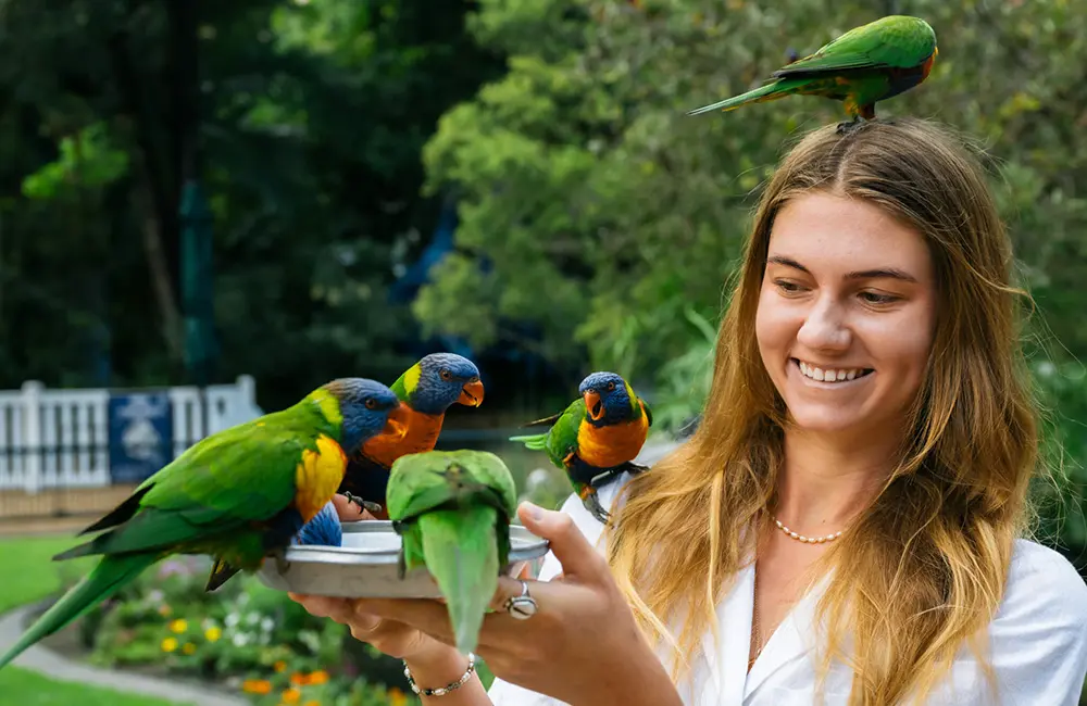 Domestic tourism spending up as Aussies & tourists embrace local experiences in 2024