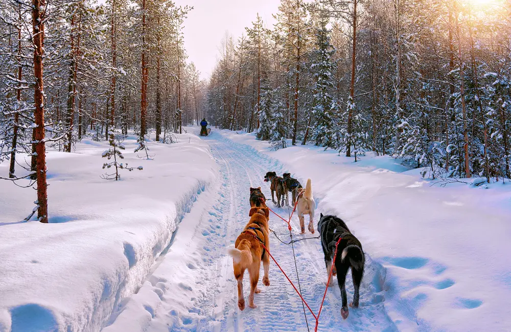 Explore Worldwide unveils exciting new destinations for 2025