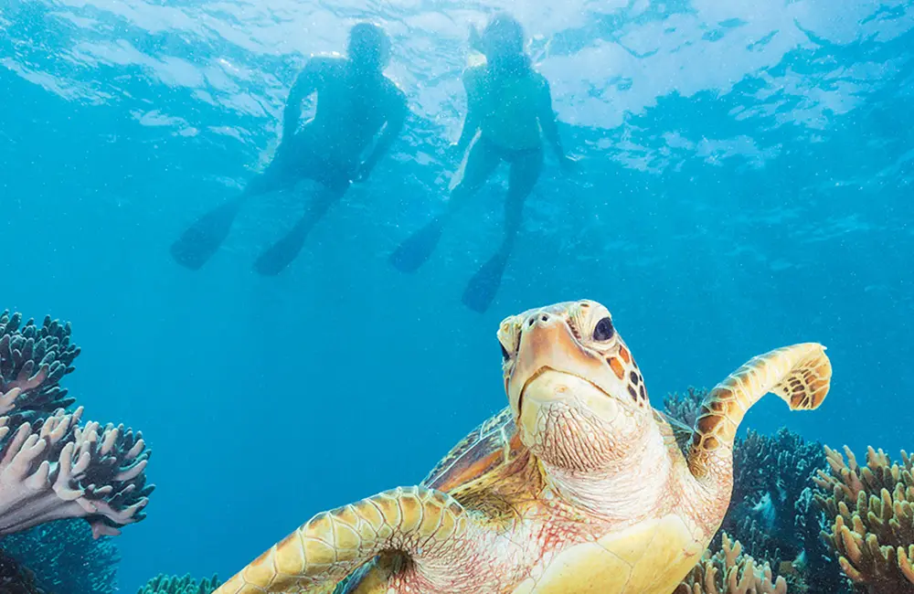 This Queensland port was just named Australia’s first Sustainable Tourism Certified marina