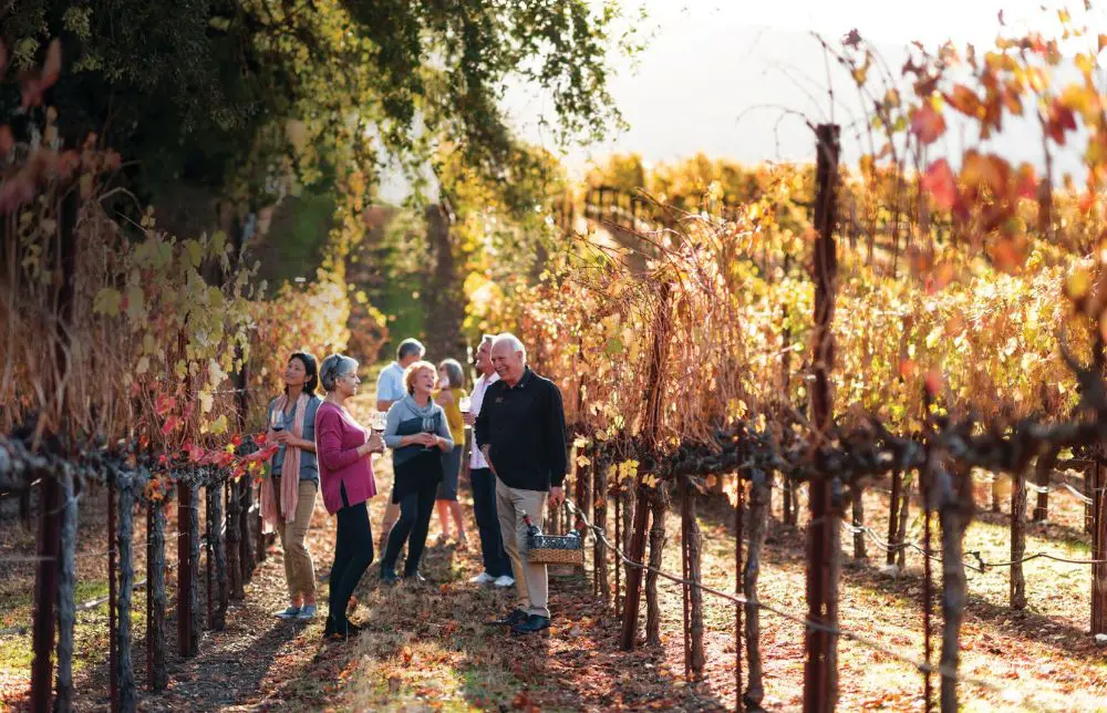 Insight Vacations increases small group tours for 2025