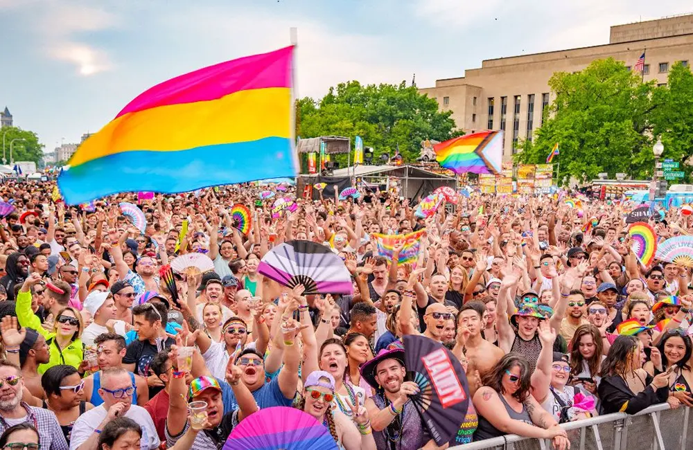 Crowd at Capital Pride Festival in Washington, DC. Image: Ted Eytan for Capital Pride WorldPride 2025