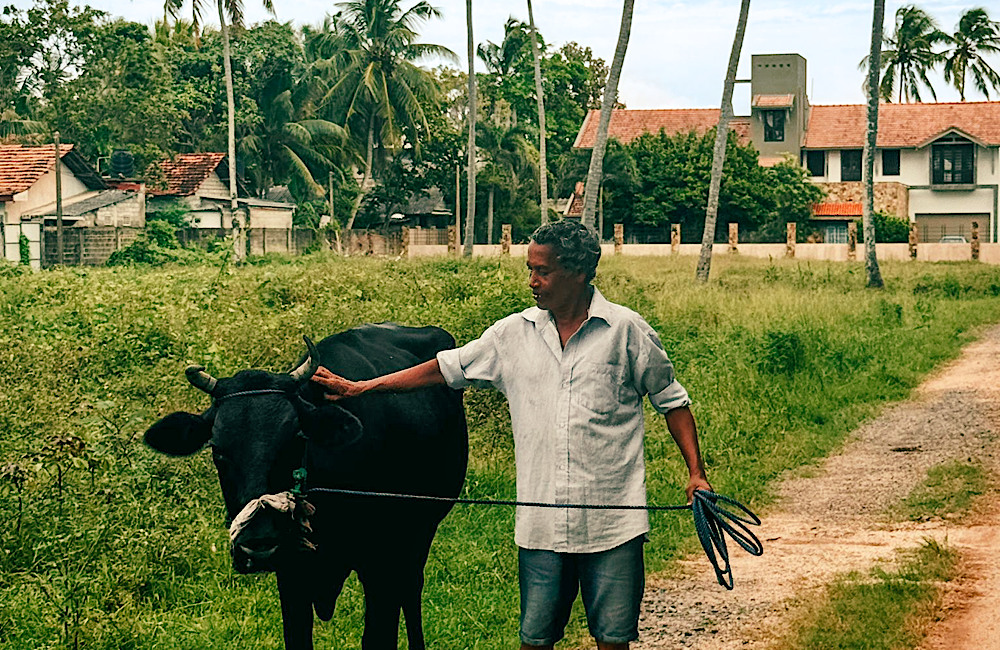 What happens on a famil: Bunnik Tours hosts Helloworld agents in Sri Lanka 3 Fab photo by Bunnik Tours fam participant Helloworld's Lyndell Edwards Phillips