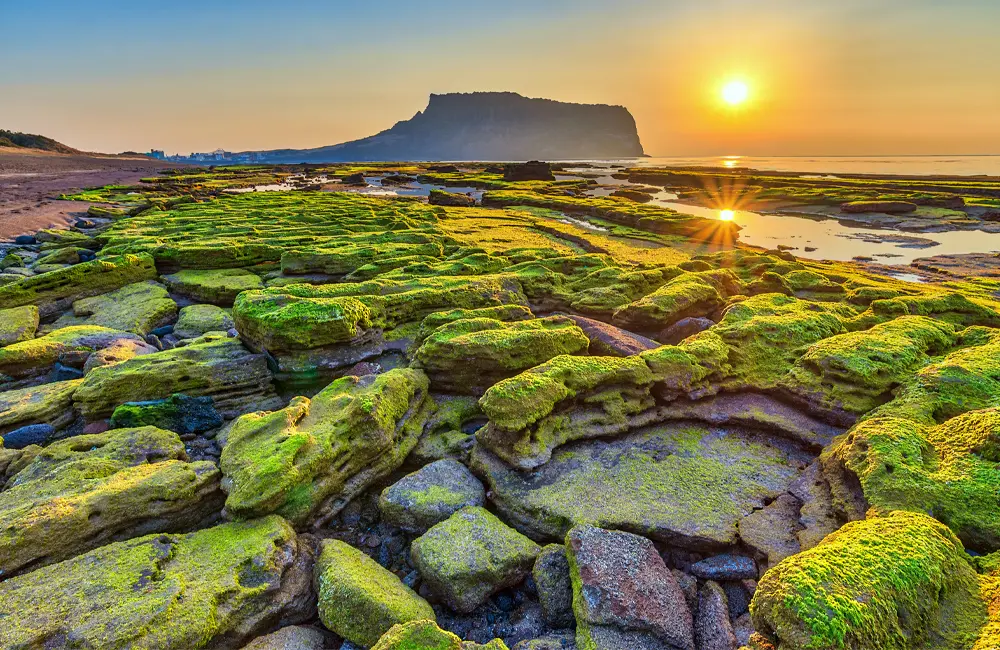 Korea calling: K-ETA exemption extended for AUS & NZ 4 Sunrise at Jeju Do Seongsan Ilchulbong, Jeju Island, South Korea. Image credit: Shutterstock