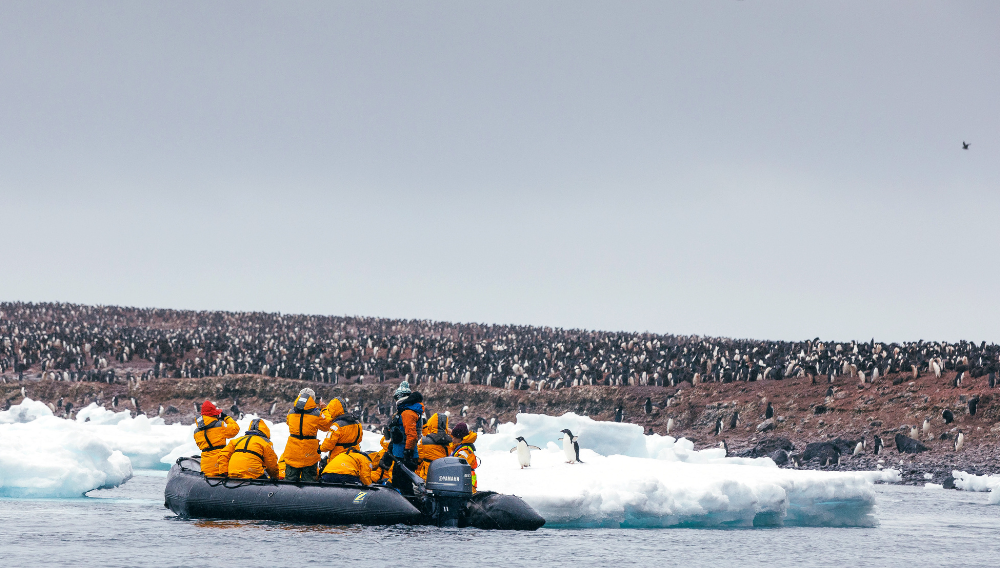 From icebergs to awe: Sell the ultimate Quark Expeditions Antarctic adventure! 5 Quark Expeditions