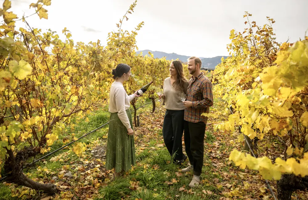 If your clients seek vibrancy, seek exceptional New Zealand this autumn