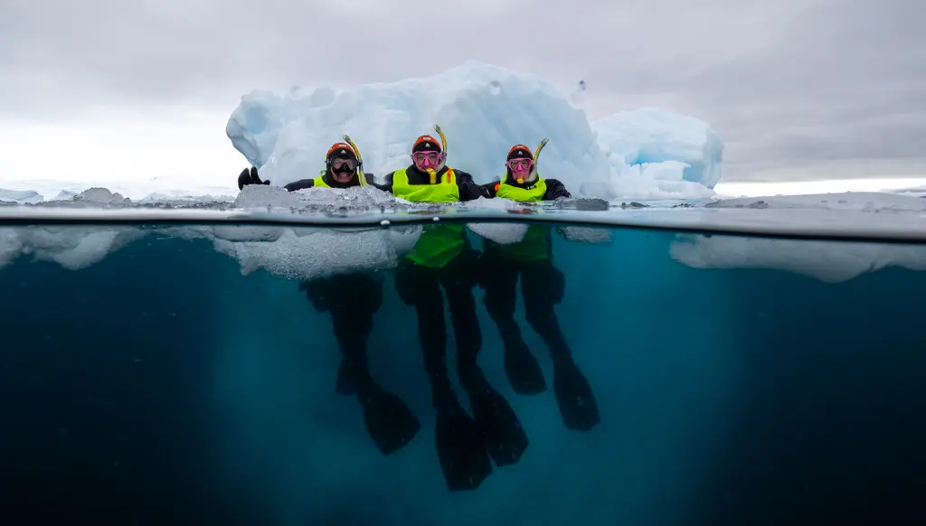 Antarctica '26/27 out now with Aurora Expeditions, plus save for '25/26 Wave Season 2 aurora snorkelling