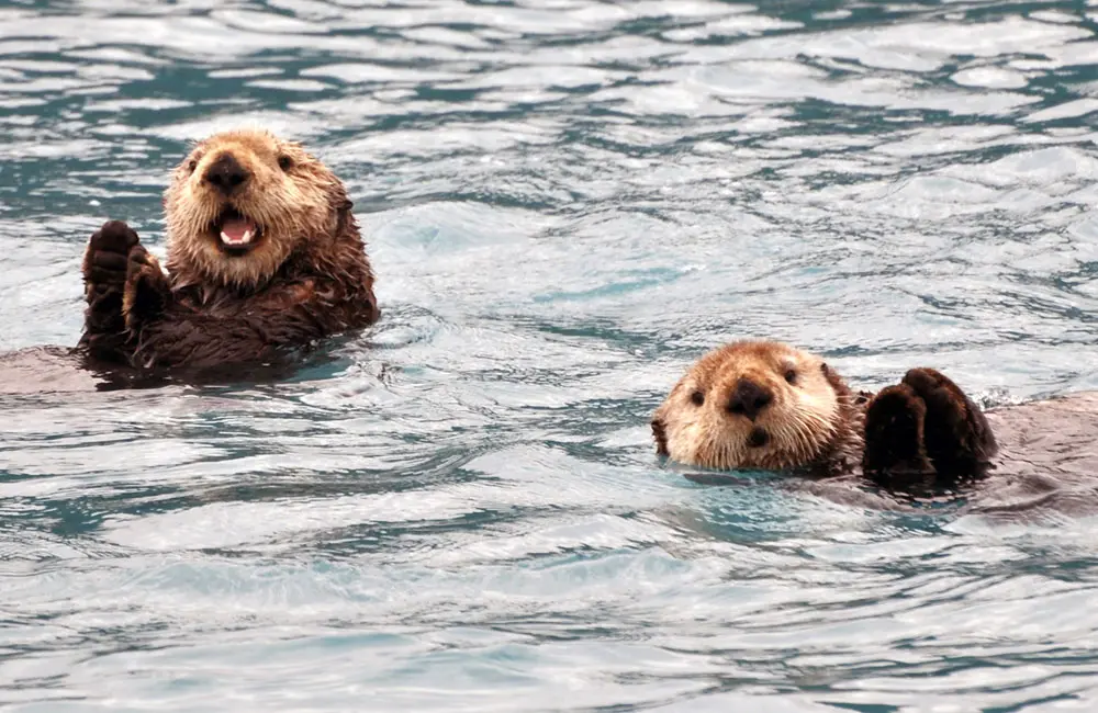 Sell Your Way to the USA '25: win an epic fam trip!