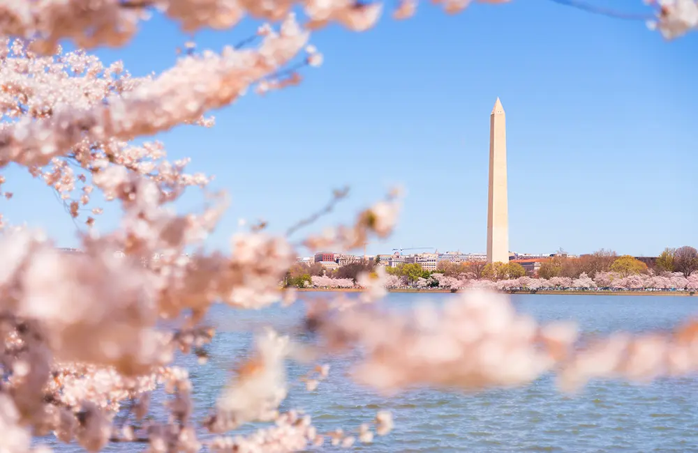 Viva Holidays partners with Washington, DC on 