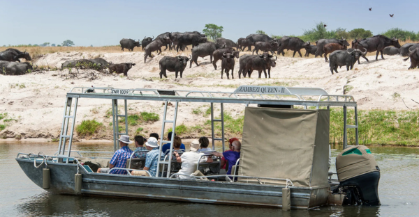 The Entertainment Book creator launches into travel deals 2 Africa Travel