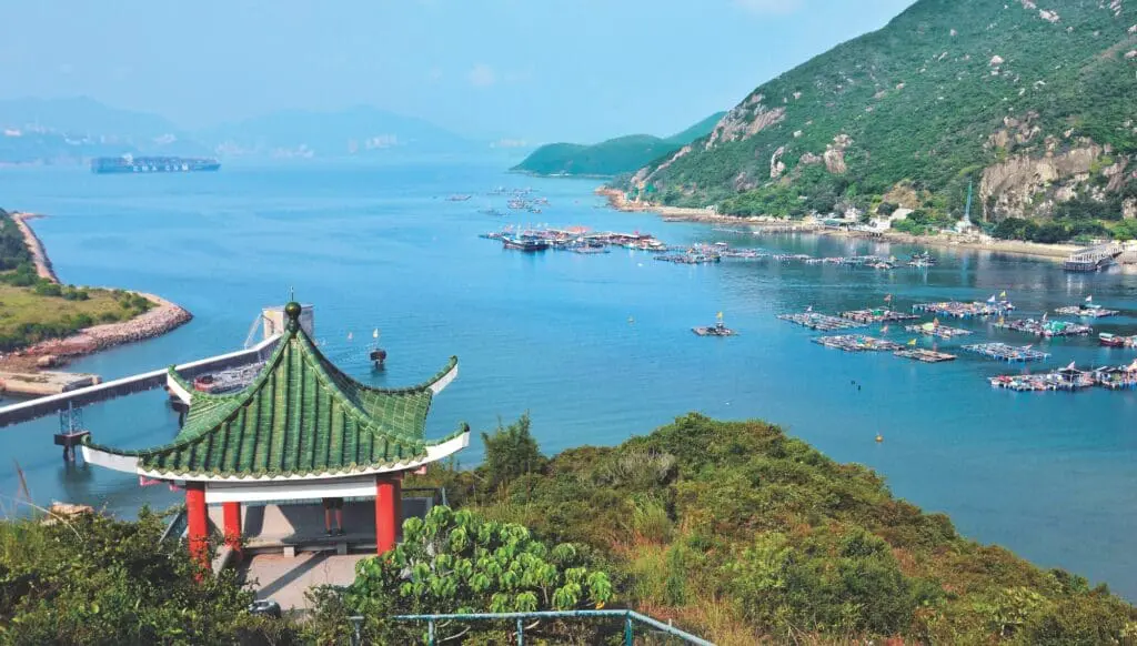 Family fun even better in Hong Kong (because, ooh, baby pandas!) 3 1000x568 3 8