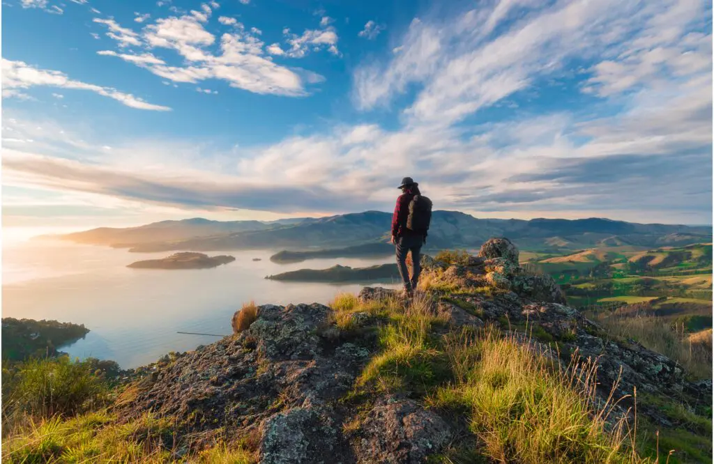 4 epic South Island road trips + Infinity fam news you won’t want to miss