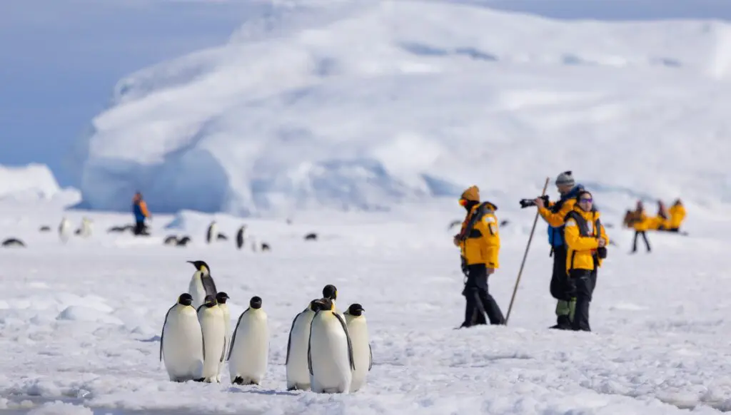 Quark’s secret ingredient to the ultimate polar expeditions 4 Polar