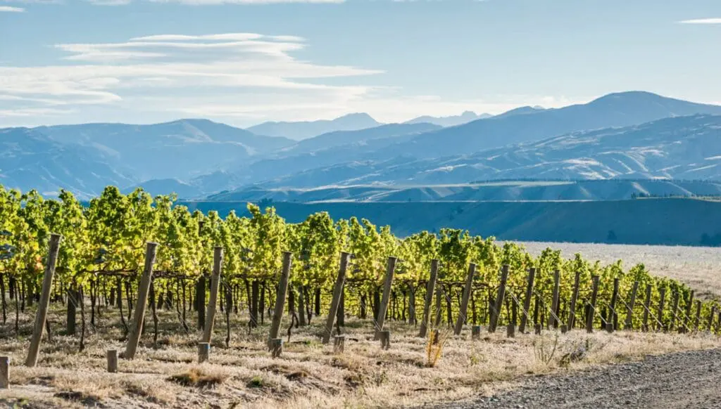 Go the Southern Way in NZ with ANZCRO & Jetstar 3 1000x568 6 5