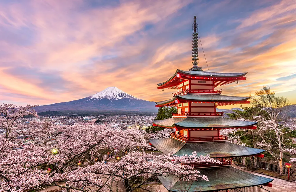 AWA wins JNTO PR account in Australia as Japan’s popularity rises among Aussies