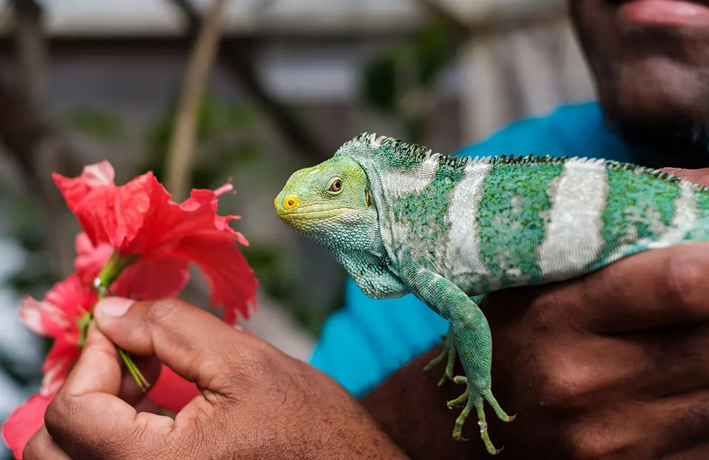 Loloma Time: Fiji Launches world’s first ‘Happy Hour’ for the planet