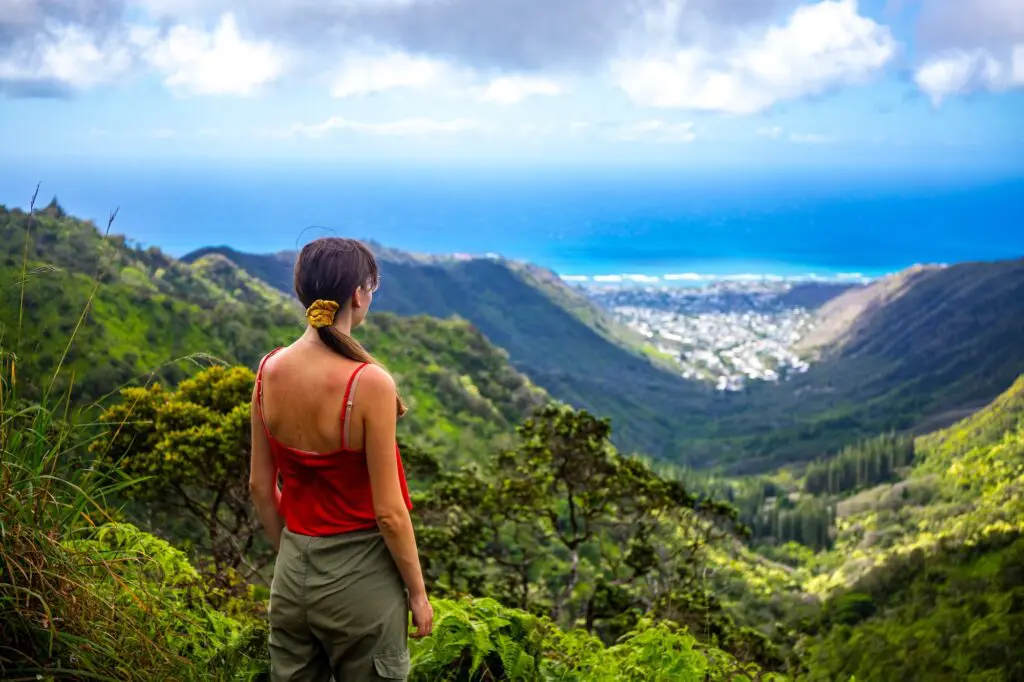 1 in 2 US tourism businesses, destinations report decline in present & future travel: major survey 1 Honolulu, Hawai'i.
US tourism
