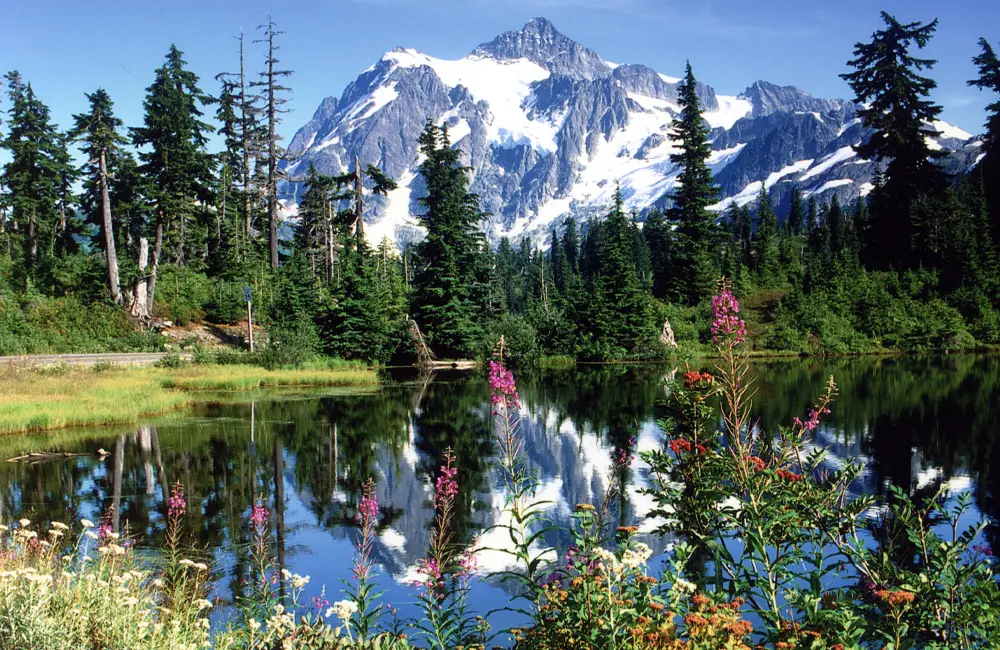 Get the edge on selling Seattle and Washington State with Expedia TAAP (and win $100!)