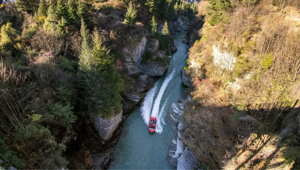 Why New Zealand self-drive road trips are ideal for Aussies 6 1000x568 6