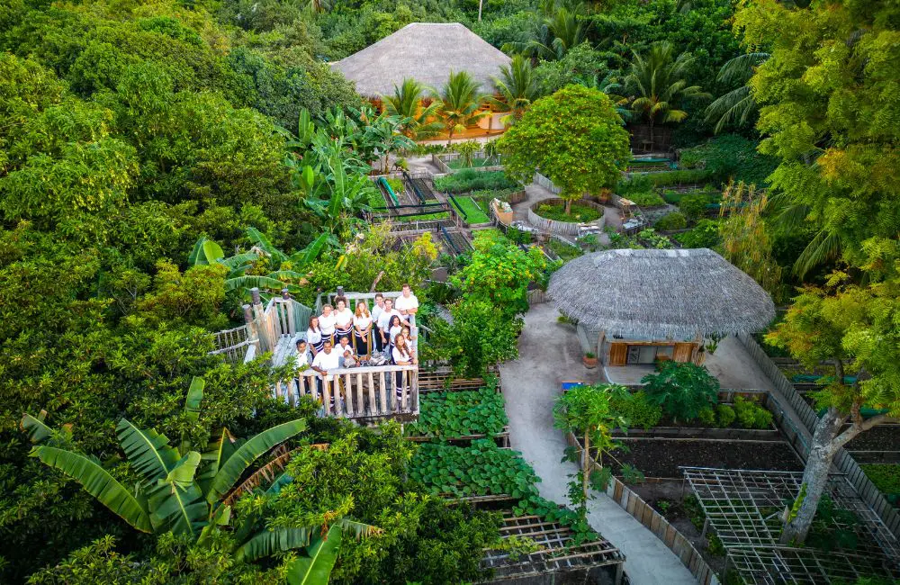 Soneva’s pioneering marine conservation efforts gain UN recognition 1 AquaTerra state-of-the-art conservation, education and science facility at Soneva
