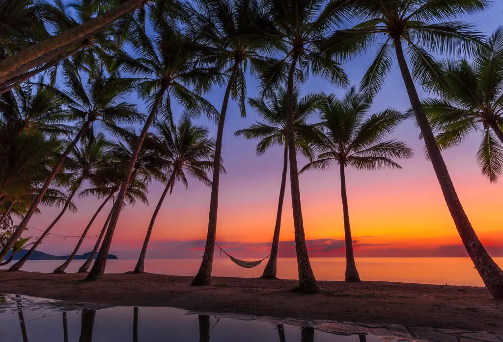 From Canada to Cairns: Helloworld OMC heads to North Queensland for 2026 3 Tropical Sunrise over Palm Cove