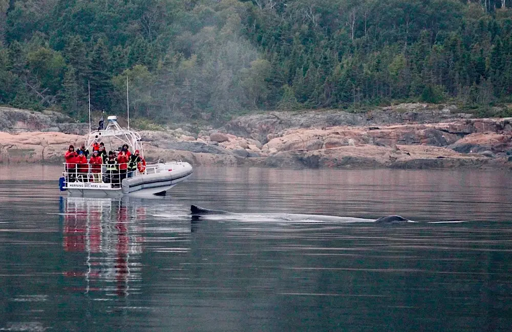 RVC2025: A travel agent's cheat sheet to what's new in Canada 30 Canada De Fleuve