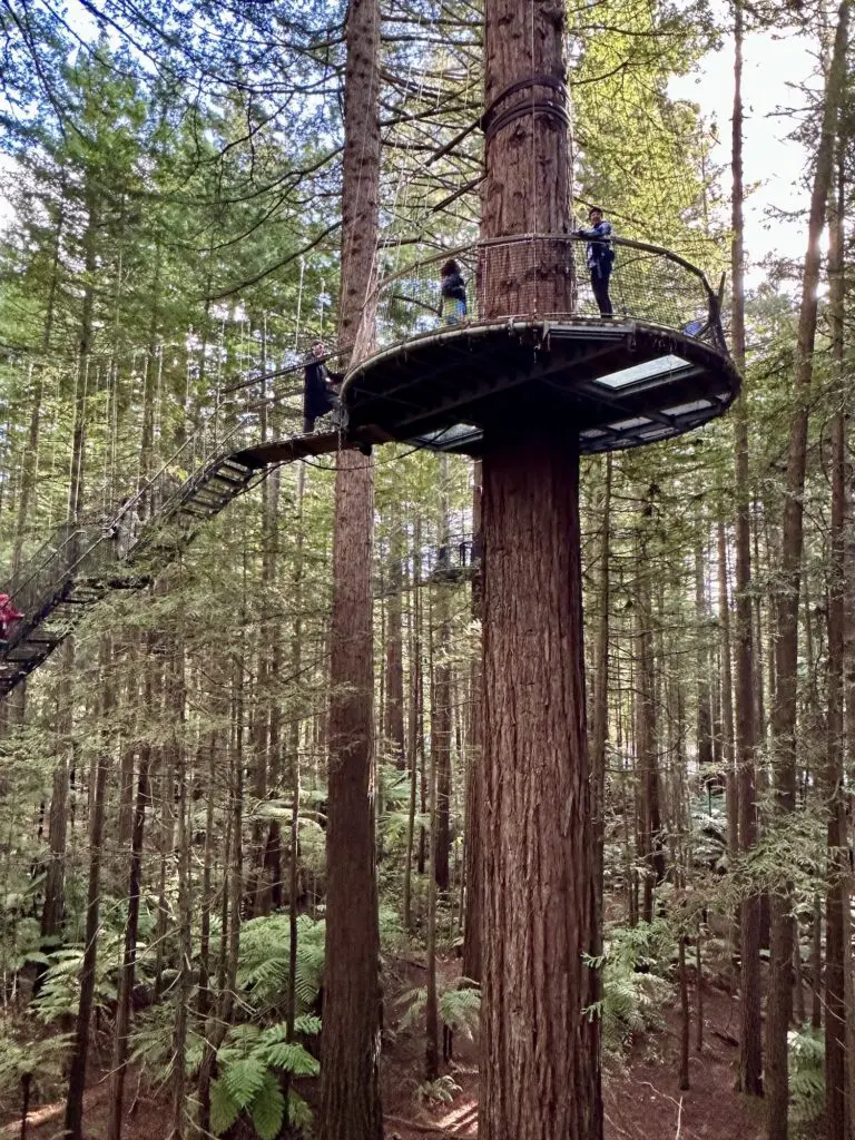 Trenz 2025: Rotorua welcomes tourism “family” to New Zealand’s biggest travel trade event 4 Redwoods Treewalk in Rotorua.