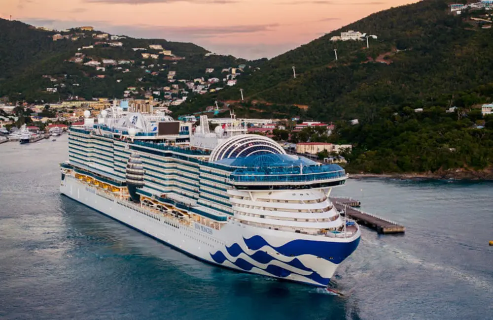 Princess Cruises' Nick Ferguson on what Aussie cruisers want & where they want to go in 2025 1 Sun Princess at sea.