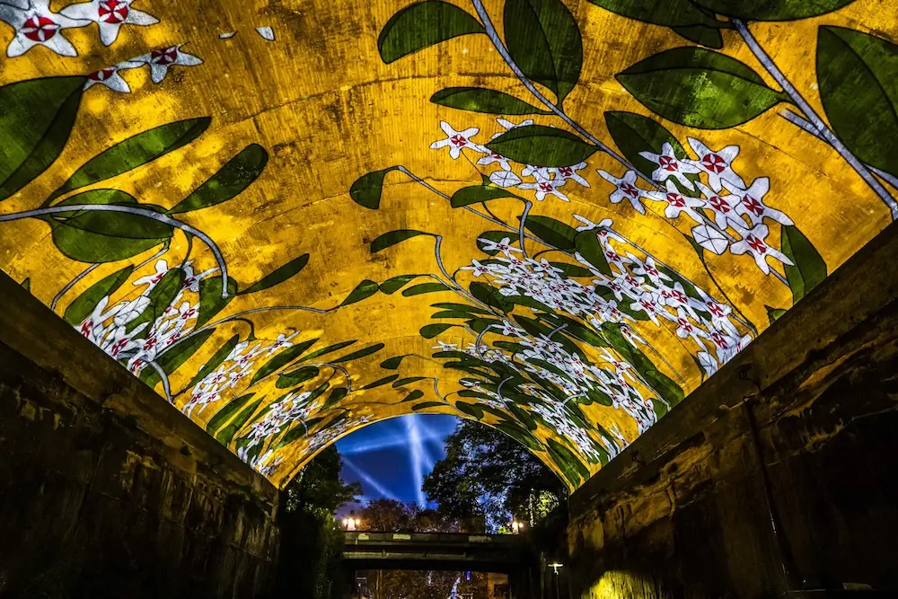 Vivid Sydney 2025: Lights on for 15th anniversary amid weather woes 6 VividSydney_2025_TheRocks_Bloom_CREDITDestinationNSW_KM-88596