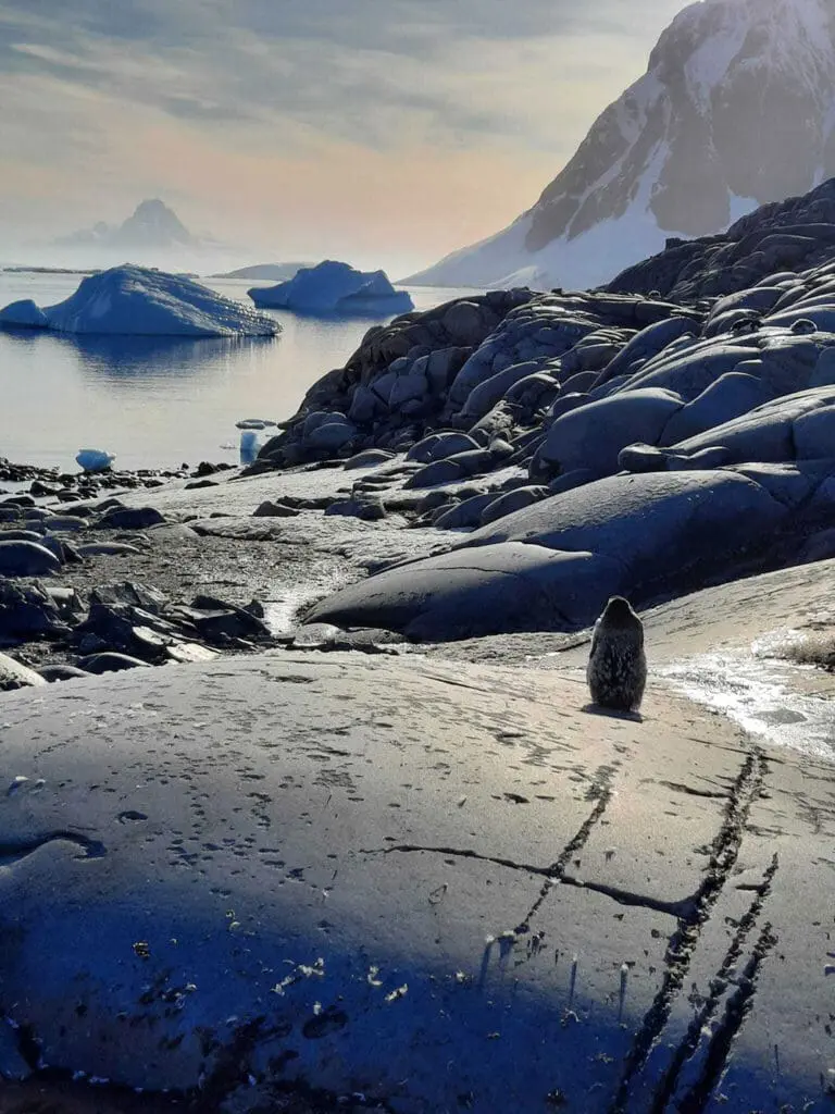 Meet the HX Wild Shots competition winner – and the photo that took the crown 8 HX Wild Shots photo competition