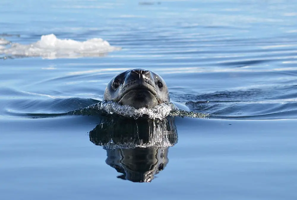 Meet the HX Wild Shots competition winner – and the photo that took the crown 4 HX Wild Shots photo competition