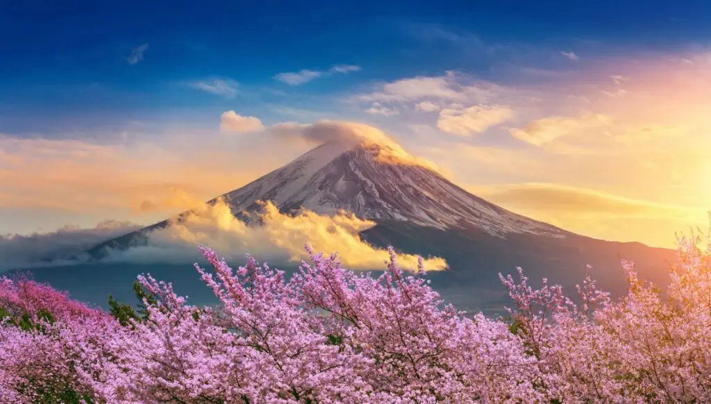 Timeless journeys, masterfully curated: A&K’s Greatest Hits out now 1 1000x568 11 1