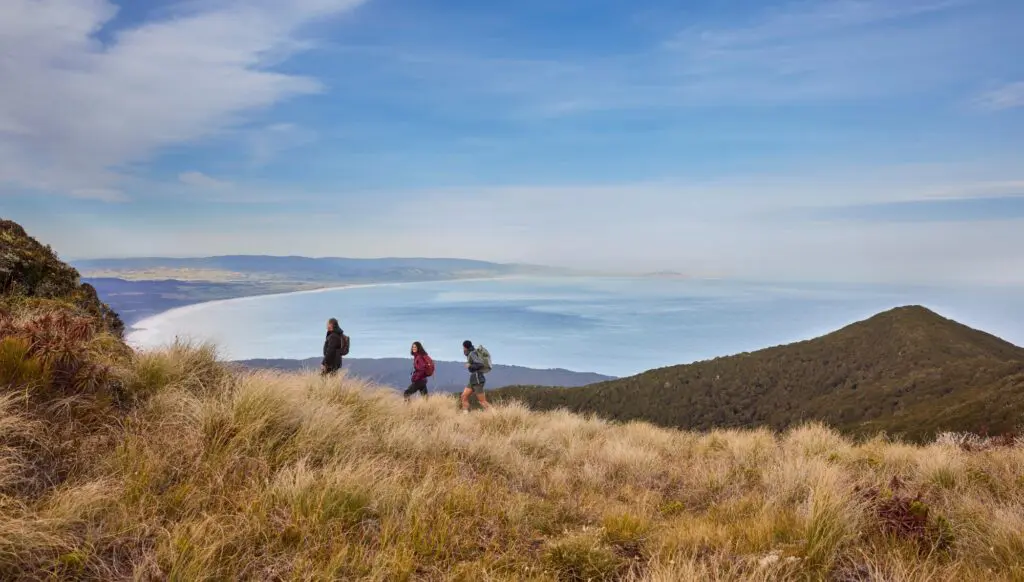 Help your clients find their 100% in Aotearoa New Zealand 2 1000x568 23 1