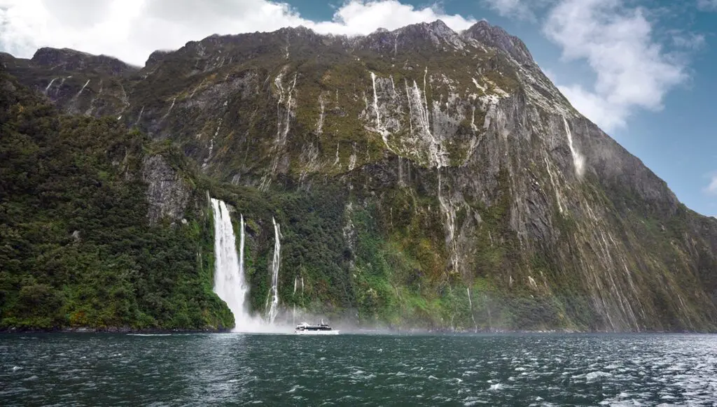 Help your clients find their 100% in Aotearoa New Zealand 1 1000x568 24 1
