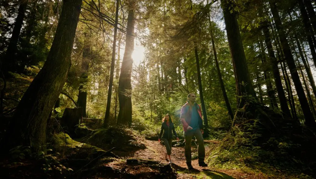 Iconic, spectacular & awe-inspiring: British Columbia’s Rainforest to Rockies 3 1000x568 28