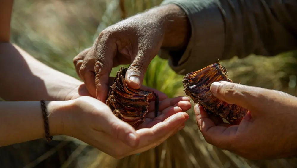 These small group tours are shaking up what guided travel can look like 4 small group tours aat