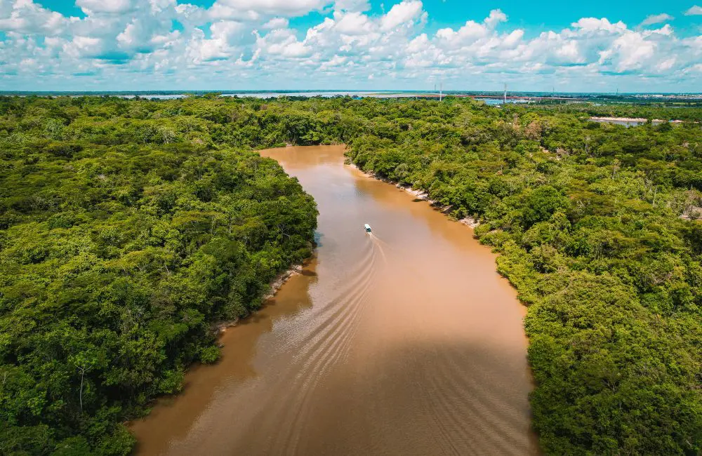 Delfin’s co-founder on the company's new-look ship and commitment to riverside communities 5 Amazon © Alex Avila Gonzales