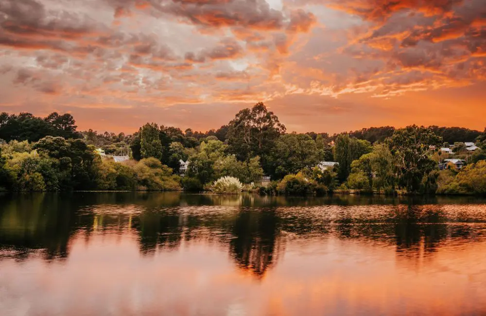 Luxury Lodges of Australia’s Penny Rafferty on its 15th year milestone, momentum, and the future 3 Lake House Daylesford