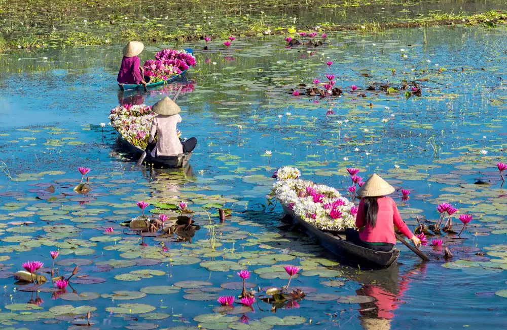 10 unmissable river cruises with AmaWaterways for lovers of slow travel 6 On the Mekong