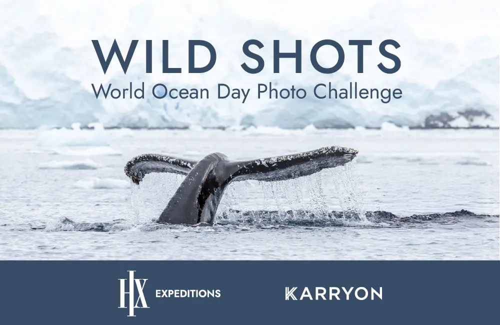 Meet the HX Wild Shots competition winner – and the photo that took the crown