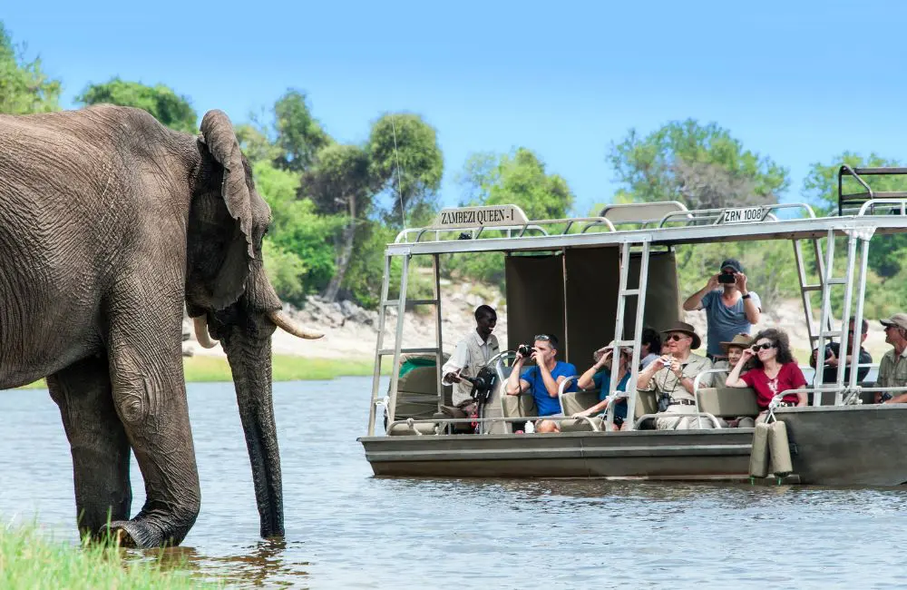 10 unmissable river cruises with AmaWaterways for lovers of slow travel 5 An excursion on The Chobe with AmaWaterways