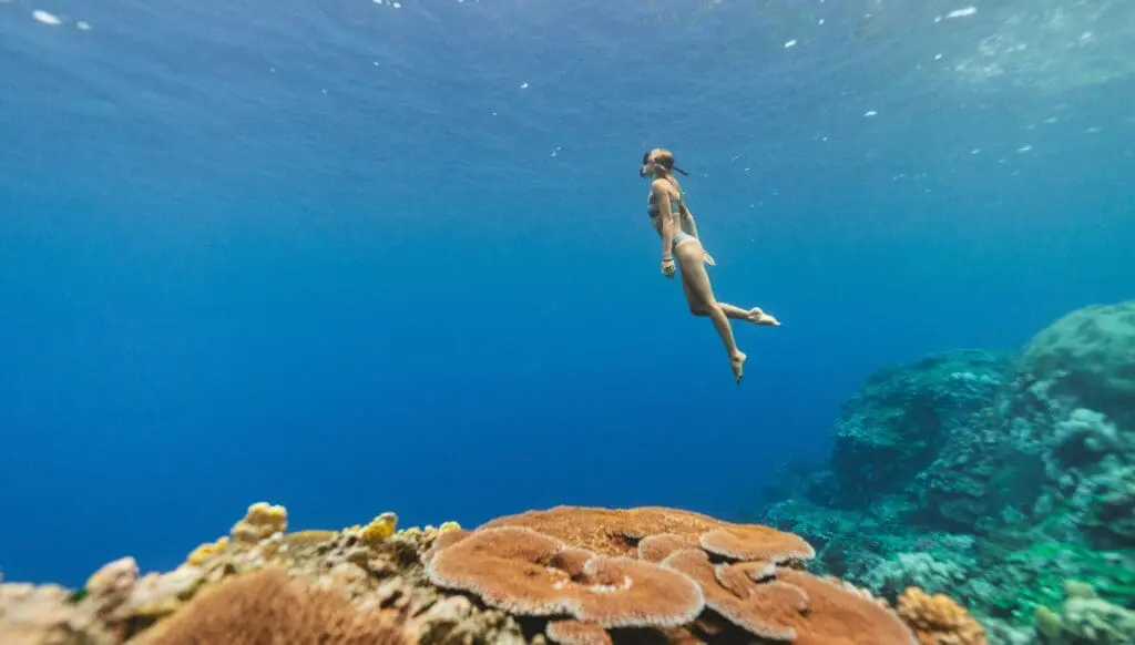Answer the Call of Vanuatu with Viva Holidays 6 1000x568 22 1