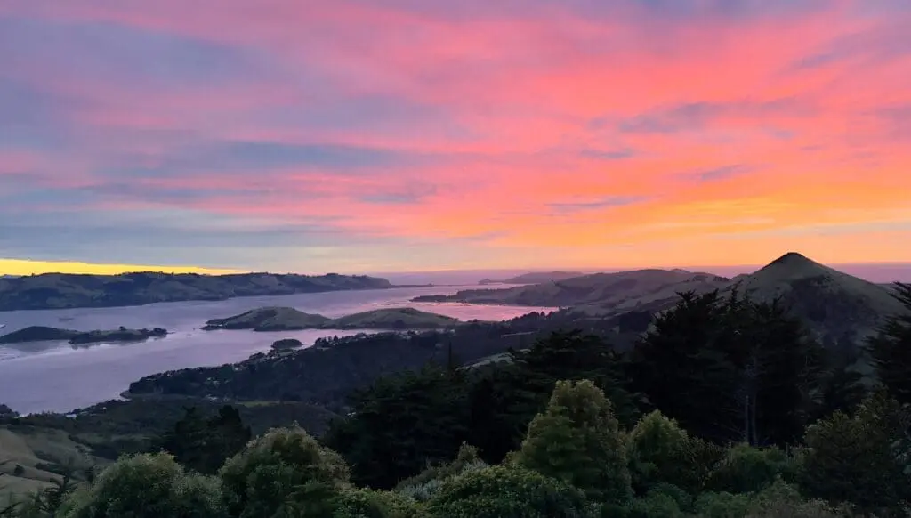 Charmed: touring New Zealand’s Southern Way 9 1000x568 22