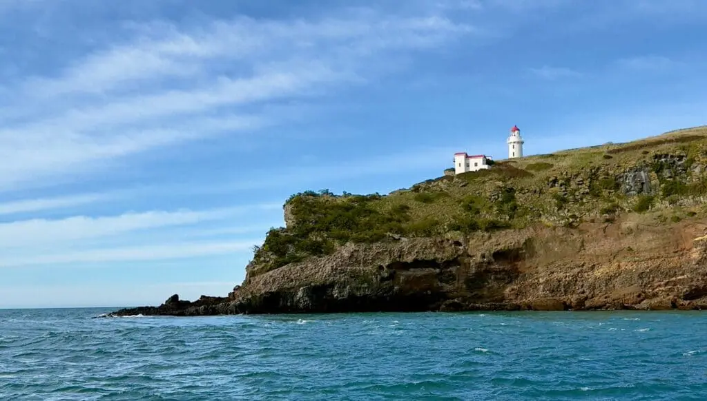 Charmed: touring New Zealand’s Southern Way 4 1000x568 6
